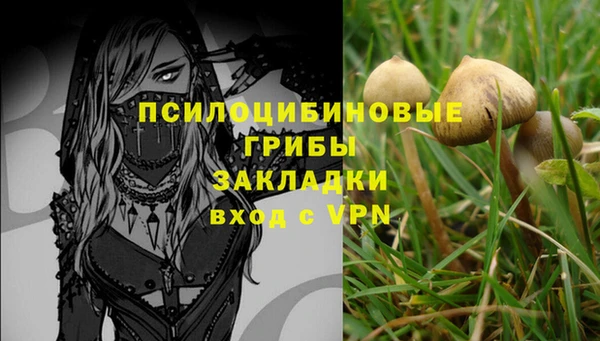 спиды Аркадак