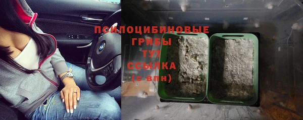 спиды Аркадак